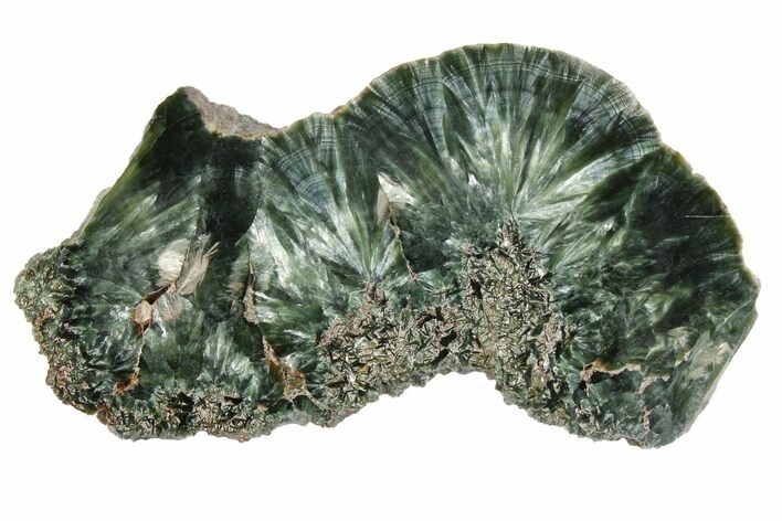Polished Seraphinite Slab - Siberia #174834